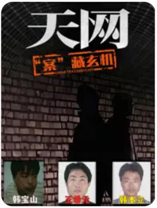天网：罪案纪实 - Season 5 Poster Blur