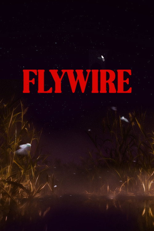Flywire poster