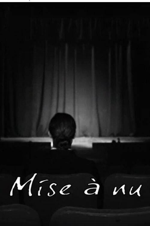 Mise à nu (2015) poster
