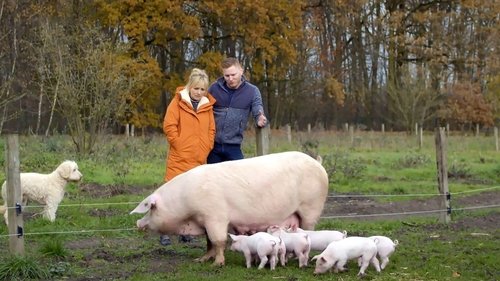 Image de l'épisode 5