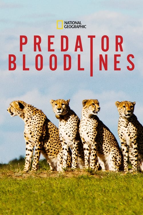 Predator Bloodlines