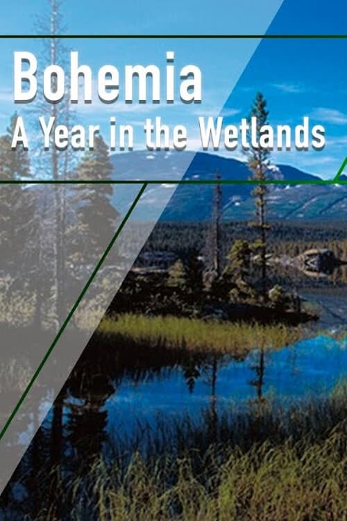 Bohemia: A Year in the Wetlands