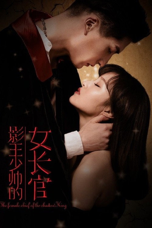 影王少帅的女长官 poster