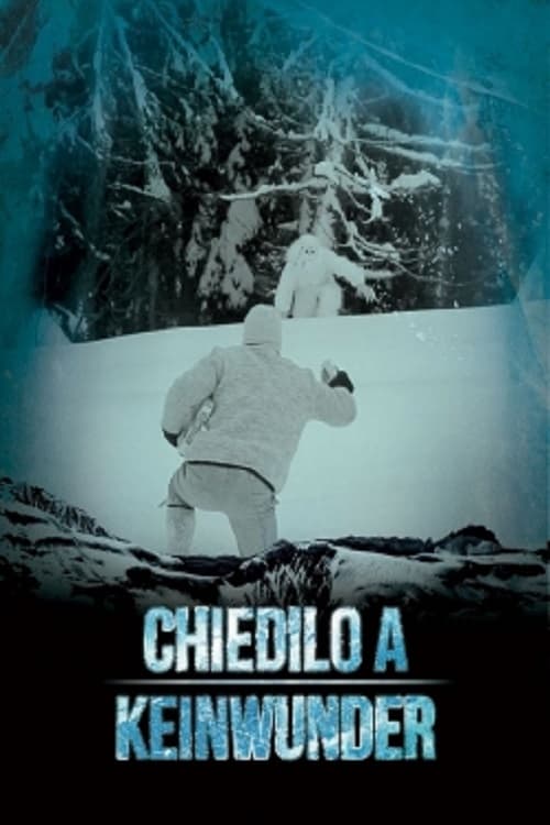 Chiedilo a Keinwunder (2014)