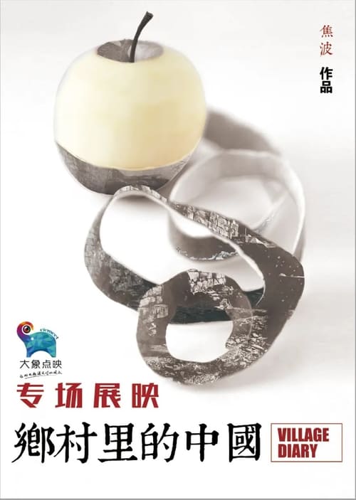 Poster 乡村里的中国 2013