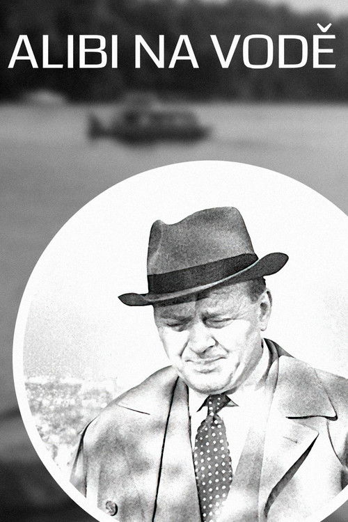 Alibi on the Lake poster