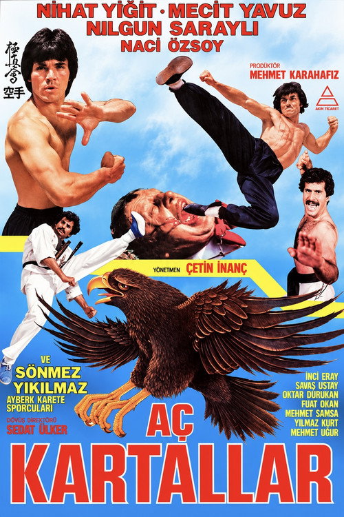 Affiche de Aç Kartallar