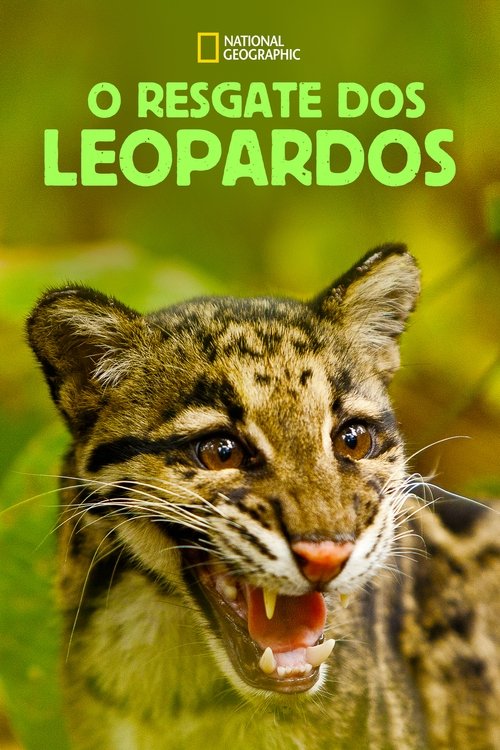 Pôster de O Resgate dos Leopardos