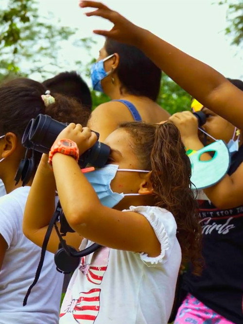 Among Birds and People