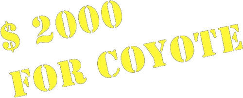 Two Thousand Dollars for Coyote