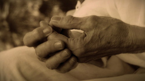 With the Wind and the Leaves