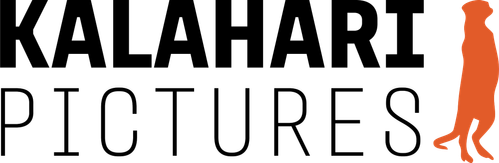 Logo Kalahari Pictures