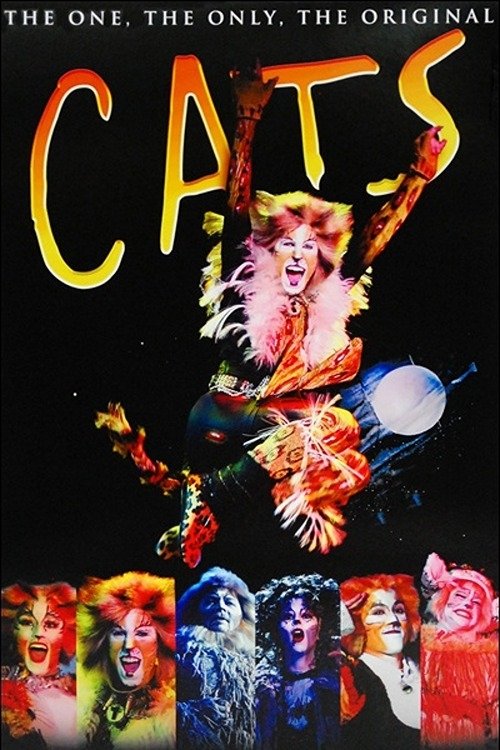 Cats poster