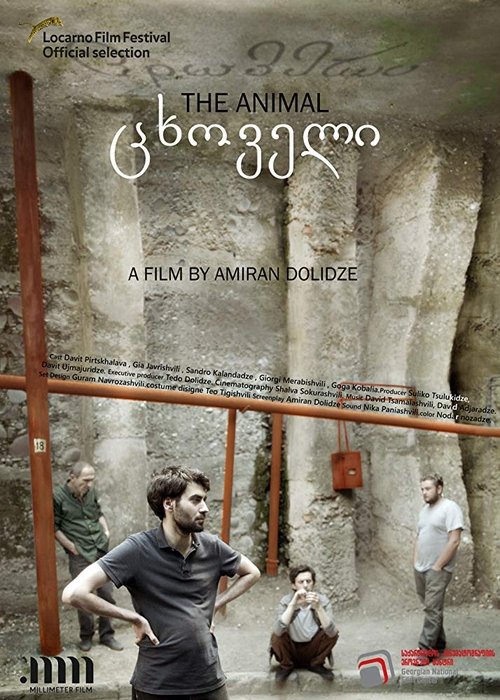 Tskhoveli movie poster player