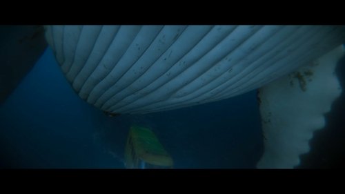 Image de l'épisode 1