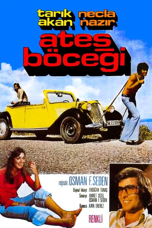 Ateş Böceği (1975) poster