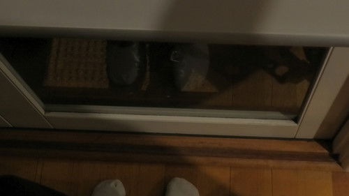 backdrop Close the Blinds