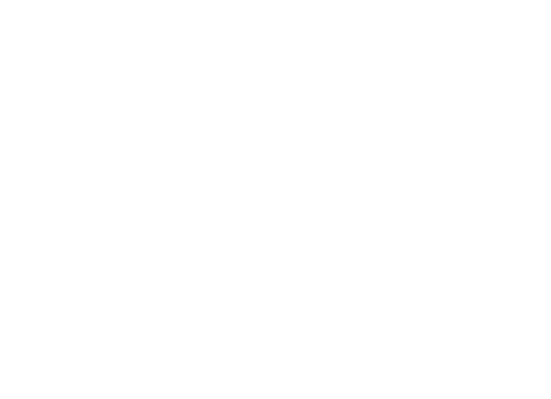 The Bank Hacker