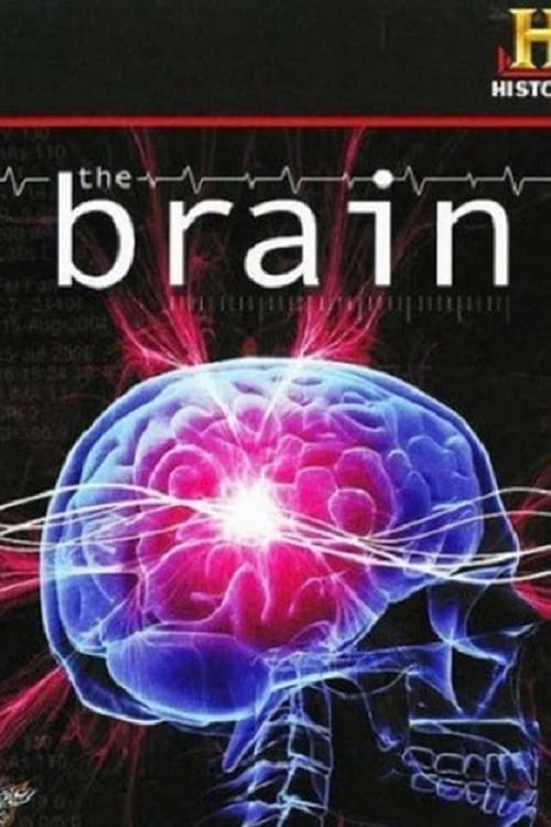 The Brain (2008) poster