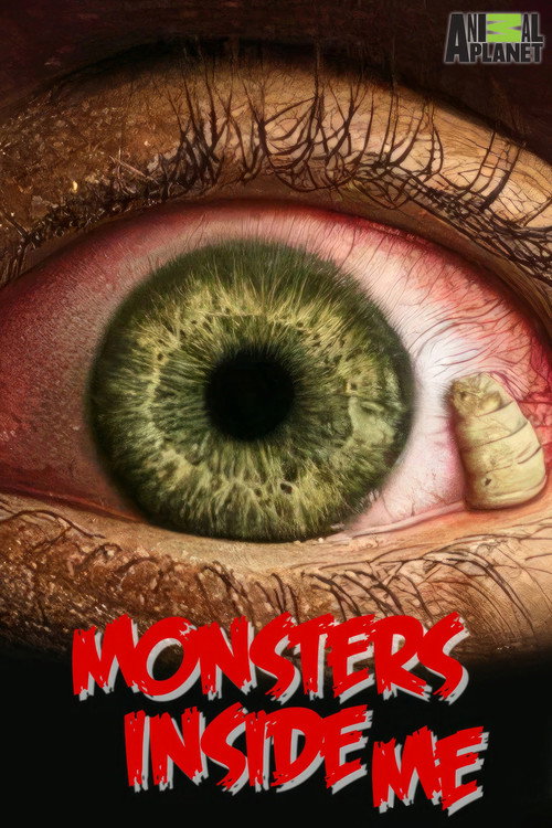 Monsters Inside Me poster