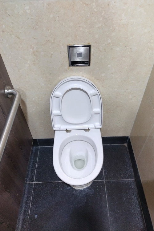 national geographic Secrets Of The Toilet