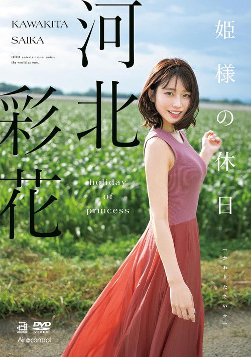Princess's Holiday Ayaka Kawakita poster