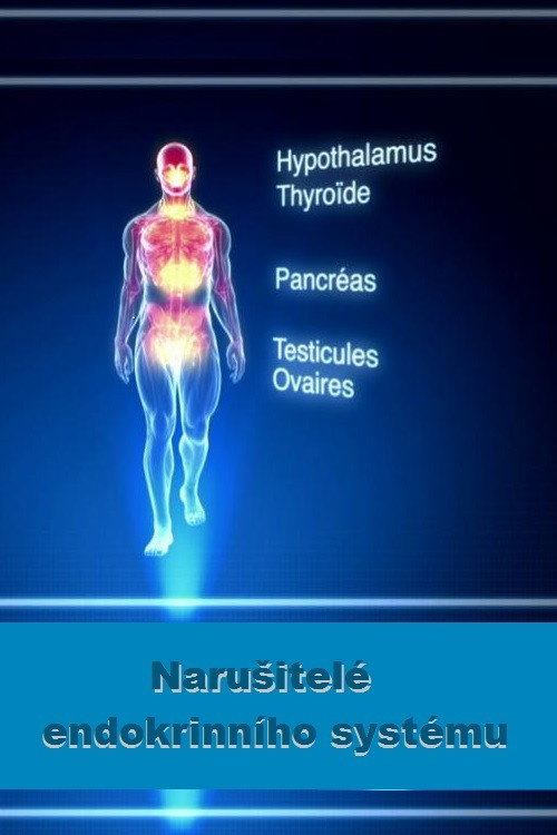 Perturbateurs endocriniens, nos vies empoisonnées
