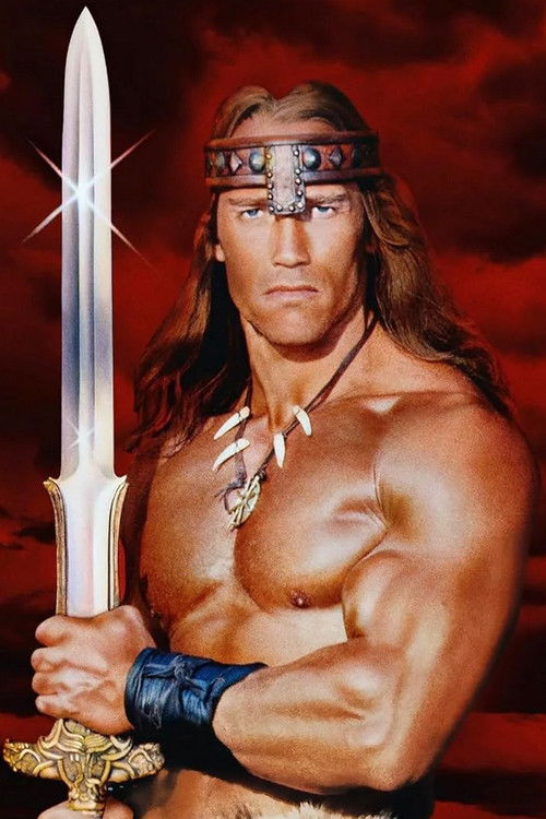 Pòster de Conan the Barbarian Collection