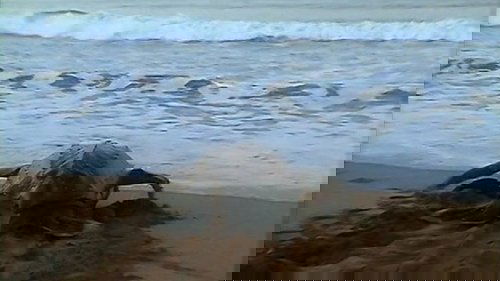 Image de l'épisode 11