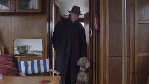 A Donkey Called Geronimo