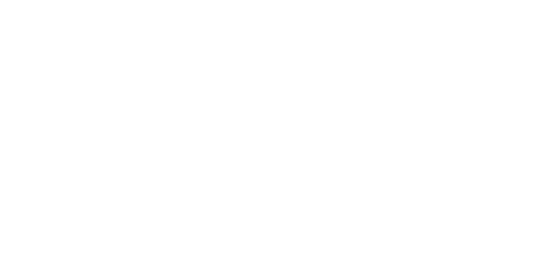 O Menino da Porteira