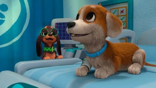 Pup Fiction / Night at the Pawspital