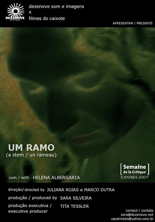 A Stem 2007