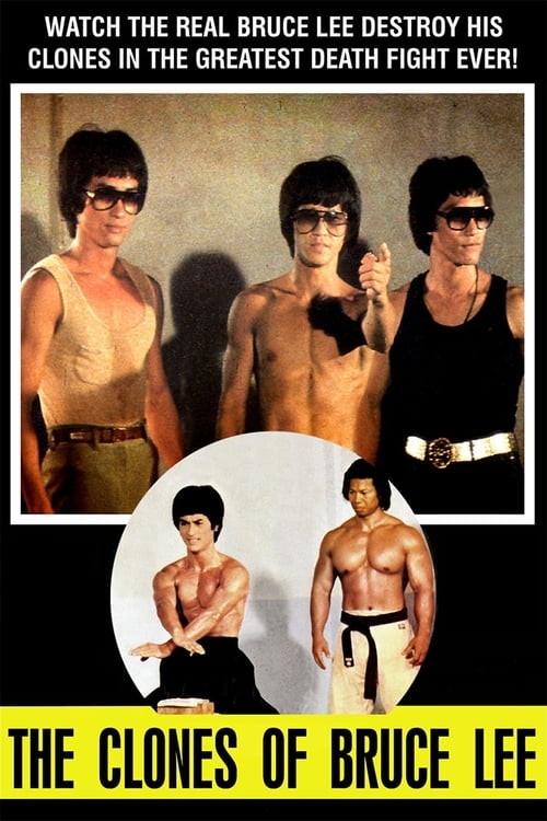 La saga de Bruce Lee 1981