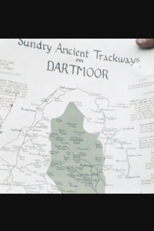 Ancient Trackways of Dartmoor
