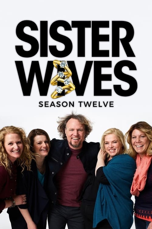 Where to stream Sister Wives Season 12