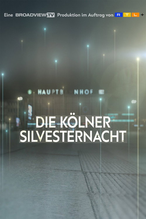 New Year's Eve in Cologne - The Consequences of one Night