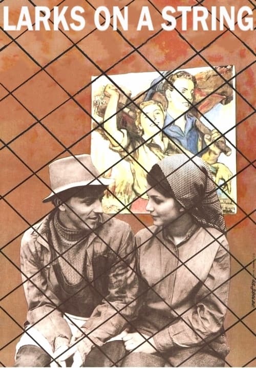Poster Skřivánci na niti 1969
