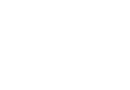 Encanto at the Hollywood Bowl