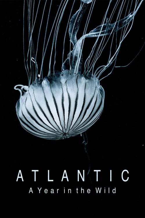 Atlantic (2020) poster