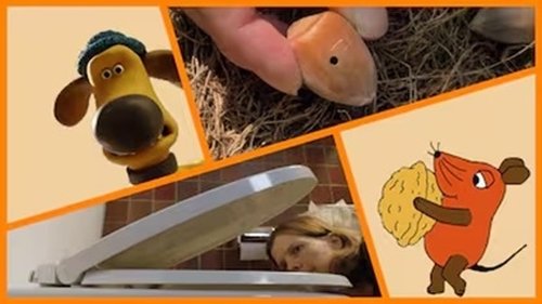 Image de l'épisode 42