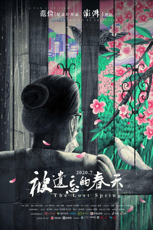 被遗忘的春天 poster