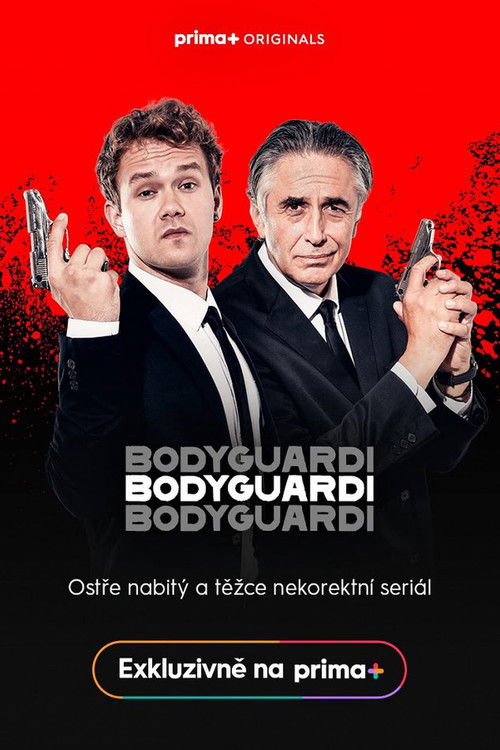 Escena 3 de Bodyguardi
