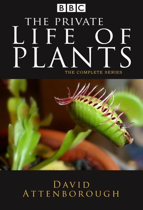 La vida privada de las plantas