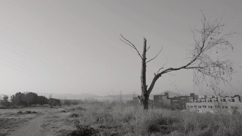 Pena — Backdrops 2