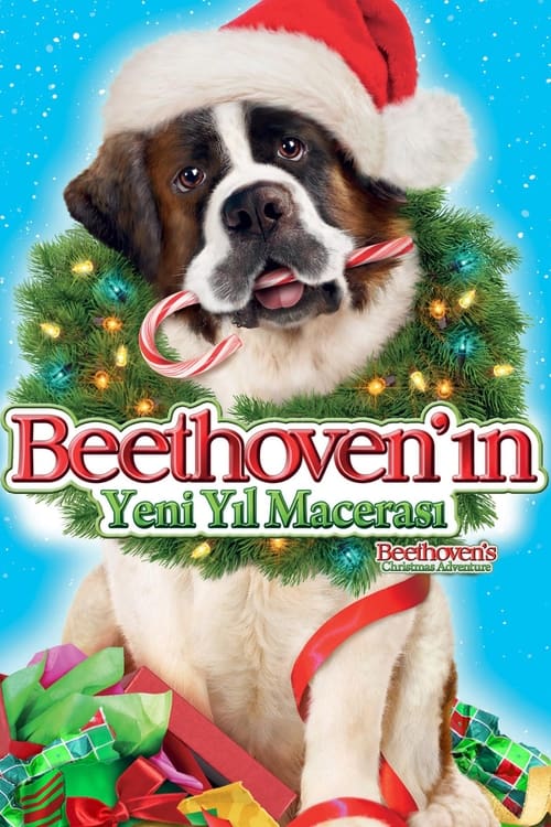 Beethoven's Christmas Adventure (2011)