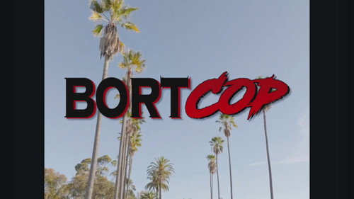 Кадр из BortCop