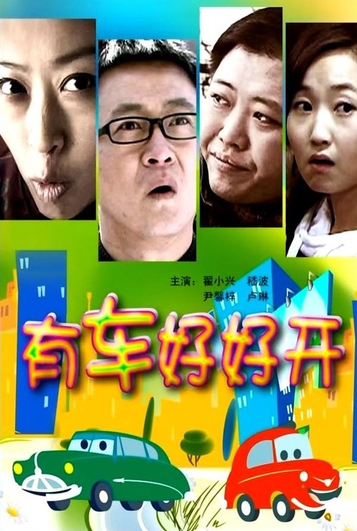 有车好好开 (2010) poster
