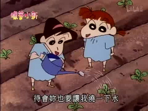 Episode 353