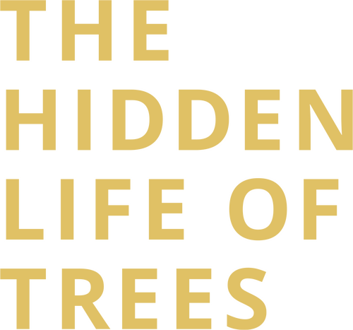 The Hidden Life of Trees